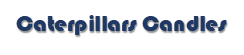 Caterpillars Candles
